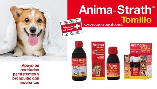 Anima Strath